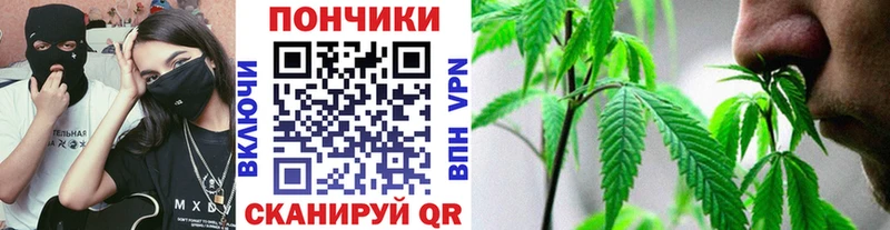 Купить APVP  Каннабис  Меф  МЕТАМФЕТАМИН  ГАШИШ  Сунжа