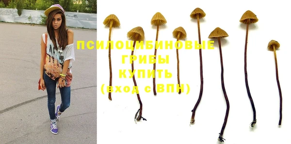 хмурый Елабуга