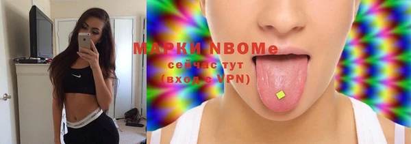 прущие крисы Ельня