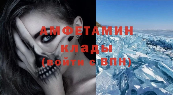 прущие крисы Ельня