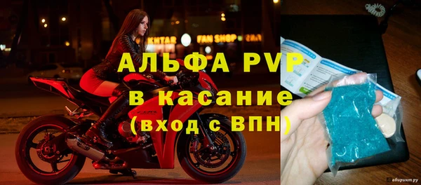 прущие крисы Ельня